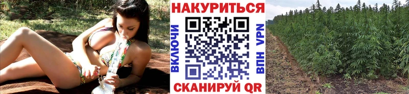 где продают наркотики  Яровое  Бошки марихуана White Widow 